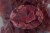 9e579fd15fc017b1f81cce7fee217caf