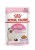 ROYAL CANIN FHN Kitten Instinctive in Jelly  - mokra karma dla kociąt - 12x85g