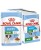 ROYAL CANIN SHN Mini Puppy w sosie - mokra karma dla szczeniąt - 12X85 g