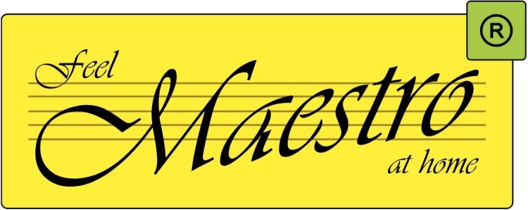 Czajnik elektryczny MAESTRO MR-045 czarny