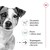 ROYAL CANIN Mini Ageing +12 3,5kg