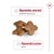 ROYAL CANIN Mini Mature 0,8kg