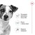 ROYAL CANIN Mini Mature 0,8kg