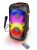 ESPERANZA GŁOŚNIK BT FM LED RGB KARAOKE SINGER EP156