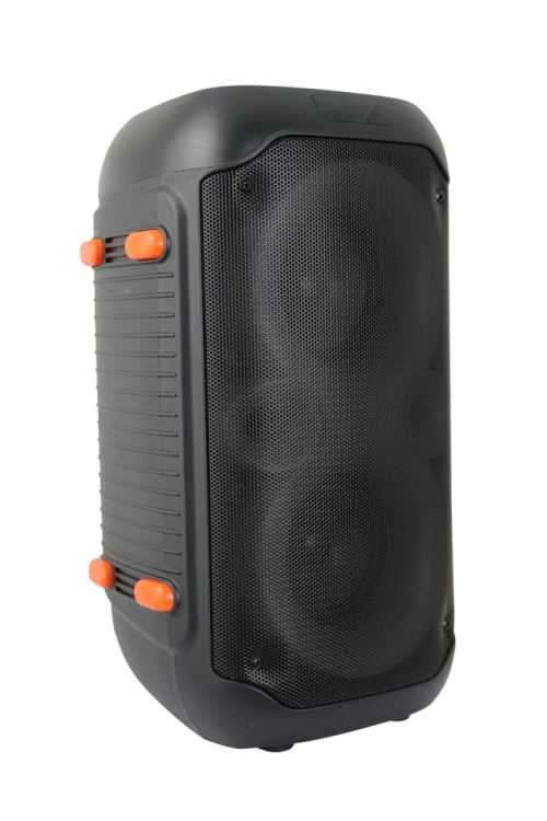 ESPERANZA GŁOŚNIK BT FM LED RGB KARAOKE SINGER EP156