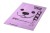 STARCHBAG BIOworki 8 rolek x 15 szt. kol. liliowy