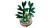 LEGO ICONS 10344 Botanicals - Dracena sandera