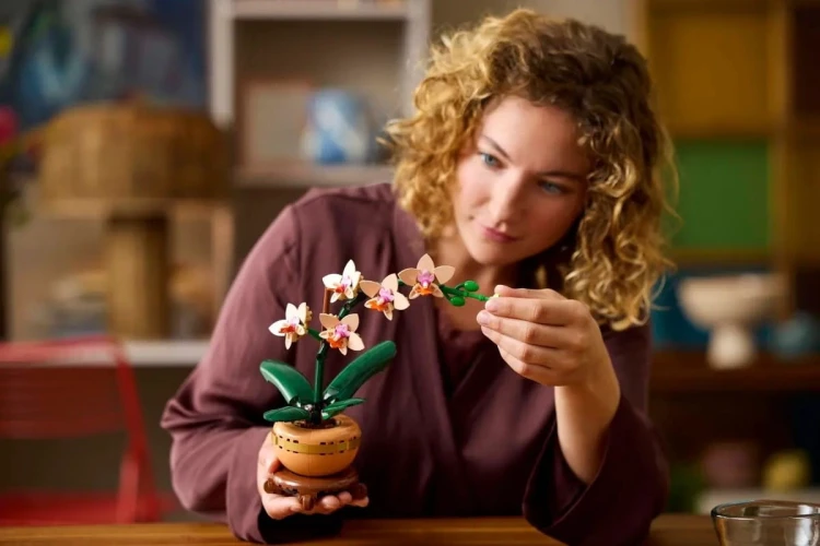 LEGO ICONS 10343 Botanicals - Mała orchidea