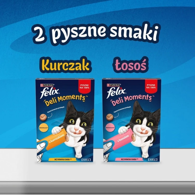PURINA FELIX Deli Moments Salmon 4x10g
