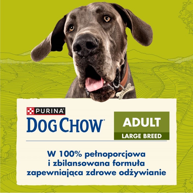 PURINA DOG CHOW Adult Large Breed - sucha karma dla psa - 14kg