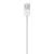 Lightning to USB Cable (0.5 m)