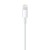 Lightning to USB Cable (0.5 m)