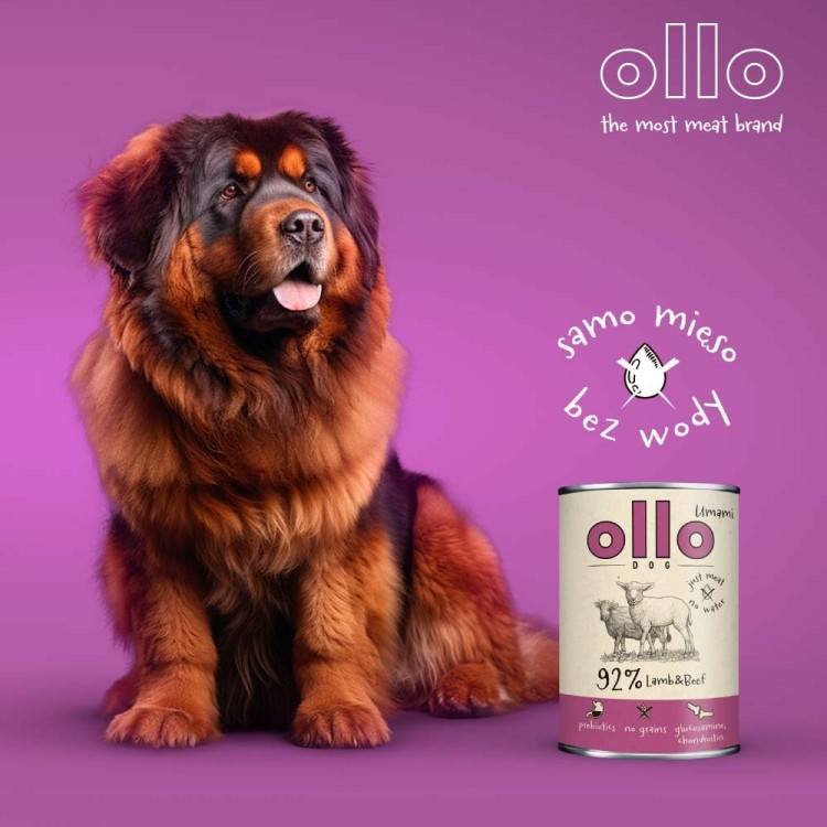 Ollo Umami Jagniecina i Wołowina 850g