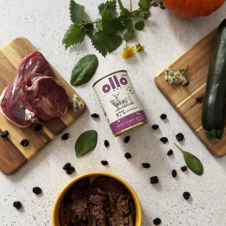Ollo Umami Jagniecina i Wołowina 850g