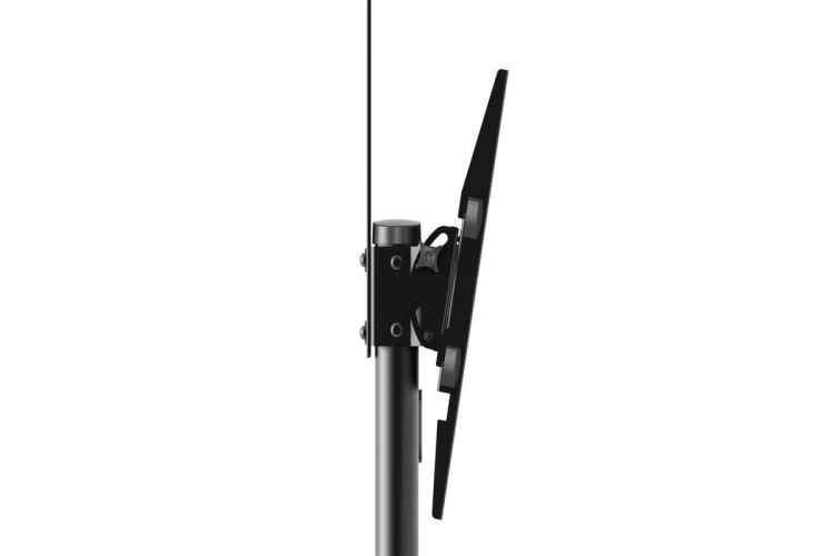 Stojak mobilny DIGITUS DA-90370 (37" - 70"; max. 50kg)