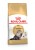 ROYAL CANIN Persian Adult - karma dla kota rasy pers - 2kg
