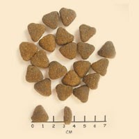 WOLFSBLUT Wide Plain Adult horse/sweet potatos 2kg