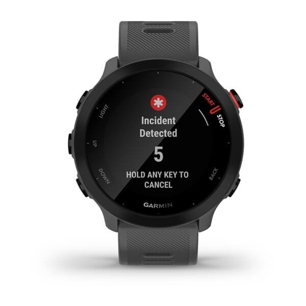 Zegarek sportowy Garmin Forerunner 55 Szary (010-02562-13)