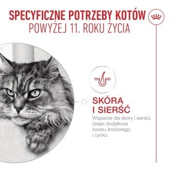 ROYAL CANIN FHN Cat Ageing 11+ Gravy 12x85g