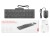 Lenovo 310 USB-A Wired Combo US English GX31R09775