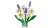 LEGO Botanical 11508 Stokrotki i lawenda