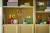 LEGO Botanical 11509 Kwitnący kaktus w doniczce