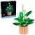 LEGO Botanical 11504 Skrzydłokwiat w doniczce