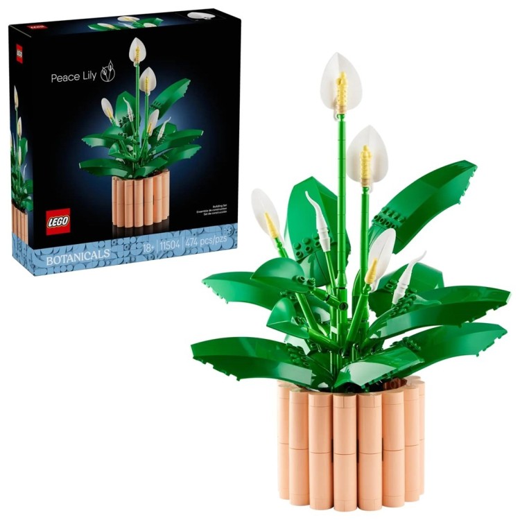 LEGO Botanical 11504 Skrzydłokwiat w doniczce