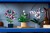 LEGO Botanical 11504 Skrzydłokwiat w doniczce