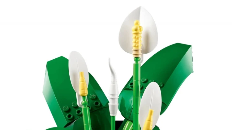 LEGO Botanical 11504 Skrzydłokwiat w doniczce