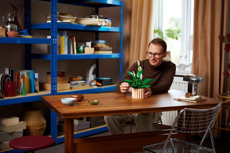 LEGO Botanical 11504 Skrzydłokwiat w doniczce