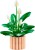 LEGO Botanical 11504 Skrzydłokwiat w doniczce