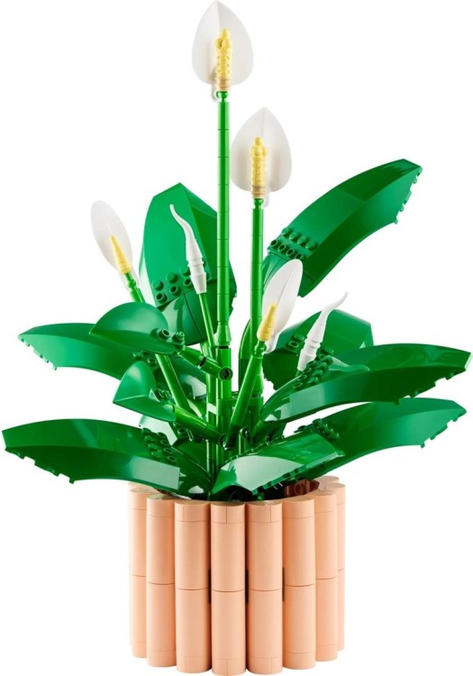 LEGO Botanical 11504 Skrzydłokwiat w doniczce