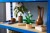 LEGO Botanical 11504 Skrzydłokwiat w doniczce