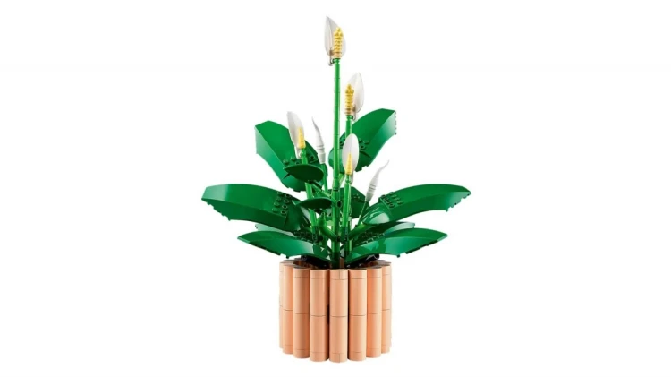 LEGO Botanical 11504 Skrzydłokwiat w doniczce
