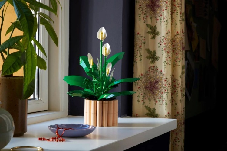 LEGO Botanical 11504 Skrzydłokwiat w doniczce