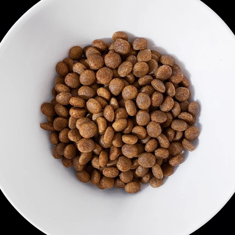 VET HYPPOALERGENIC  karma dla psa 1,6 kg