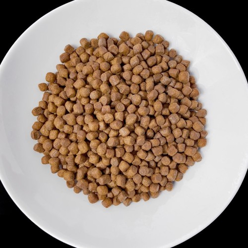 VET RESPONSE RENAL karma dla psa 8 kg