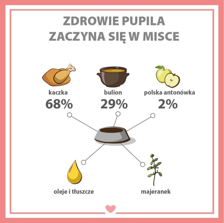 PUPIL PREMIUM Gold Kaczka karma mokra dla psa 800g