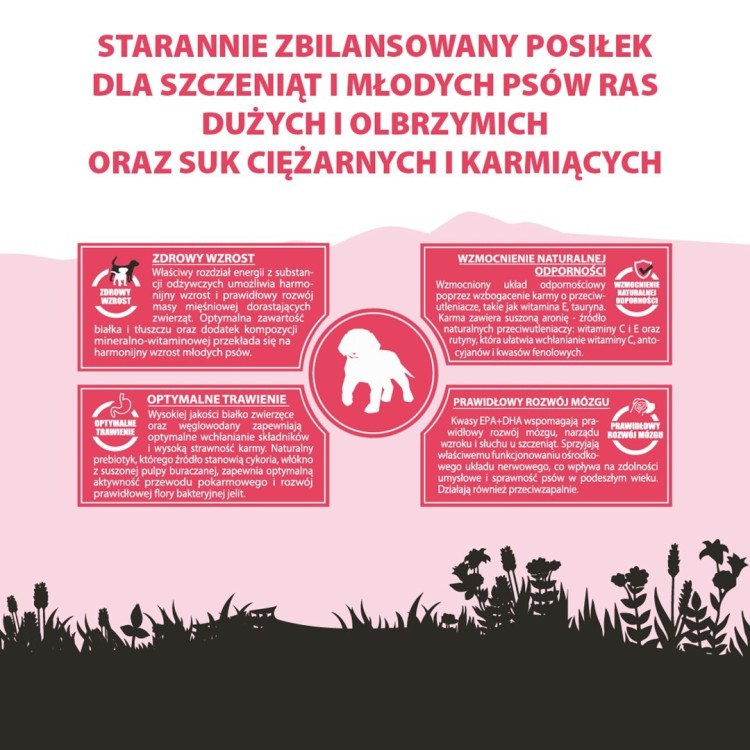 PUPIL PREMIUM JUNIOR XL bogata w wołowinę 12kg