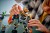 LEGO NINJAGO 71854 Cole’s Mission Mech and Dragon Zane