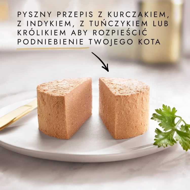 PURINA GOURMET GOLD Mus Mix smaków 48x85g