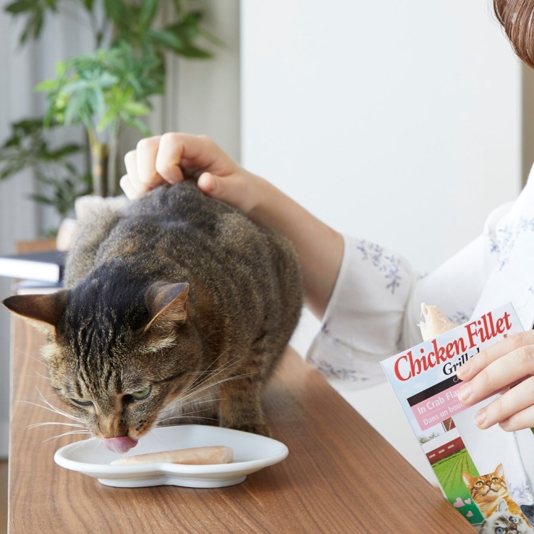 INABA CAT CHICKEN FILLET IN SCALLOP BROTH 25g