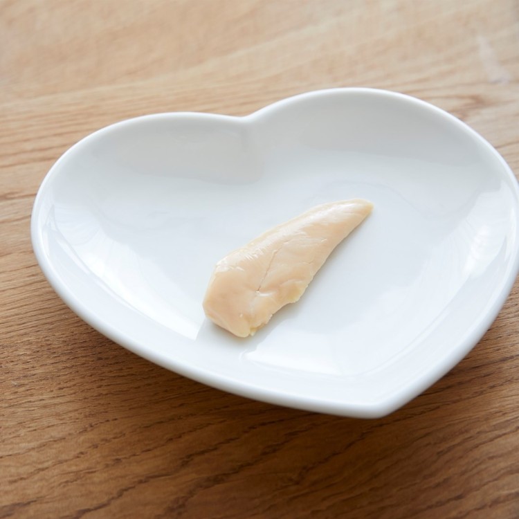 INABA CAT CHICKEN FILLET IN SCALLOP BROTH 25g