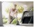Ssawka do tapicerki KARCHER WD / SE - 2.863-398.0