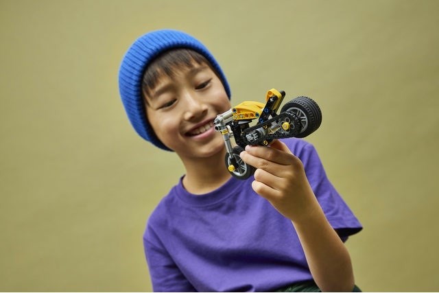 LEGO Technic 42225