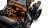 LEGO Icons 11376