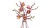 LEGO Botanicals 11510