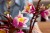 LEGO Botanicals 11510