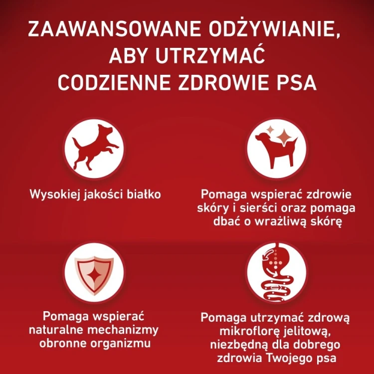 PURINA ONE MEDMAX Adult Sensitive Salmon&Rice 2,5kg